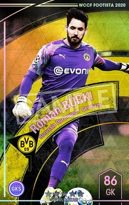 �ڥ�󥯥��å׺Ѥߡۡ�F20-5  009-R�ۥ��ޥ󡦥ӥ�륭 ��5 WS