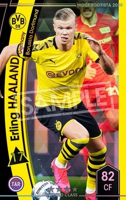 �ڥ�󥯥��å׺Ѥߡۡ�F20-5  011-R�ۥ�����󥰡��ϡ����� ��4 WC