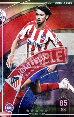 ڥ󥯥å׺ѤߡۡF20-5  023-Rۥ祢󡦥եå 5 WS