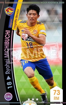 �ڥ�󥯥��å׺Ѥߡۡ�F20-5  060-R�ۥ�祦�إ����ߥ��֥� ��3 CC