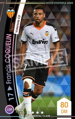 ��F20-6  026�ۥե饷����������� ��3 CC