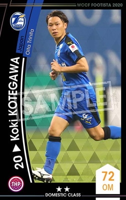 ��F20-6  046�ۥ����������ƥ��� ��2 DC