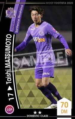 ��F20-6  049�ۥ��������ޥĥ�� ��2 DC