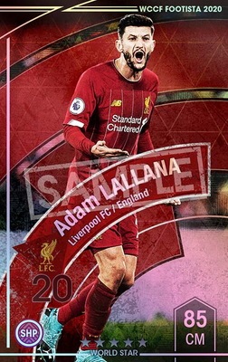 �ڥ�󥯥��å׺Ѥߡۡ�F20-6  003-R�ۥ����ࡦ��顼�� ��5 WS