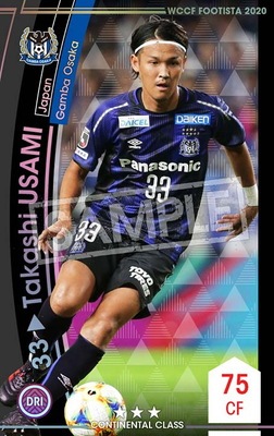 �ڥ�󥯥��å׺Ѥߡۡ�F20-7  034-R�ۥ������������� ��3 CC