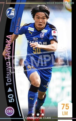 �ڥ�󥯥��å׺Ѥߡۡ�F20-7  047-R�ۥ��ĥ䡦���ʥ� ��3 CC