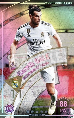 ��F20-8  026�ۥ���쥹���٥��� ��5 WS