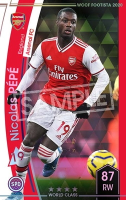 ��F20-9  001�ۥ˥��顦�ڥ� ��4 WC