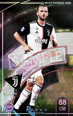 ��F20-9  016�ۥߥ��ࡦ�ԥ��˥å� ��5 WS