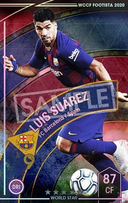 ��F20-9  026�ۥ륤���������쥹 ��5 WS