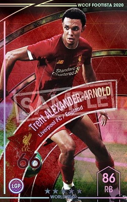 ڥ󥯥å׺ѤߡۡF20-8  003-Rۥȥȡ쥯=Υ 5 WS