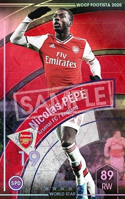 �ڥ�󥯥��å׺Ѥߡۡ�F20-9  001-R�ۥ˥��顦�ڥ� ��5 WS