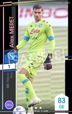 WCCF FOOTISTA F21 セット (T-3) WCCF FOOTISTA F21 セット (T-3)