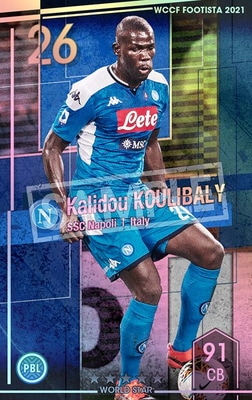 ��F21-1 024�ۥ���ɥ�������Х� ��5 WS