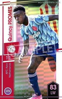 F21-1 028ۥ󥷡ץ᥹ 4 WC