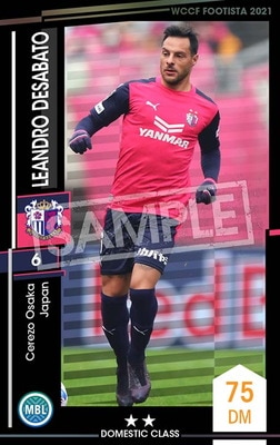 F21-1 041ۥ쥢ɥǥХ 2 DC