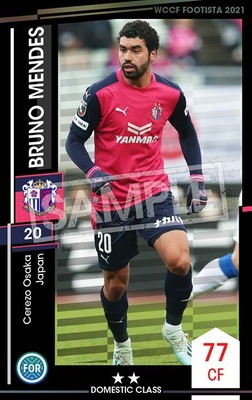 ��F21-1 043�ۥ֥롼�Ρ����ǥ� ��2 DC