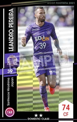 ��F21-1 073�ۥ쥢��ɥ����ڥ쥤�� ��2 DC