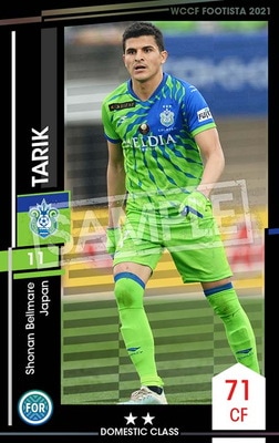 ��F21-1 079�ۥ��ꥯ ��2 DC