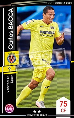 ��F21-EX�ۥ���������Хå� ��2 DC