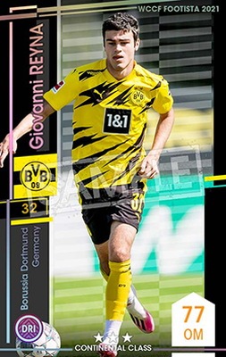 �ڥ�󥯥��å׺Ѥߡۡ�F21-EX-R�ۥ���Х�ˡ��쥤�� ��3 CC