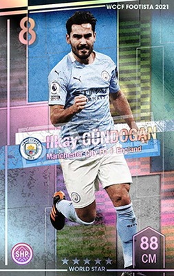 �ڥ�󥯥��å׺Ѥߡۡ�F21-EX-R�ۥ��륫���������ɥ��� ��5 WS