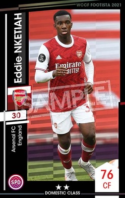 F21-2 003ۥǥ󥱥ƥ 2 DC