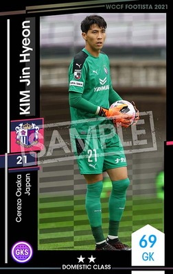 ��F21-2 041�ۥ��ࡦ����ҥ�� ��2 DC