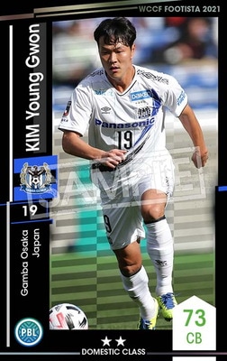 F21-2 048ۥࡦ󥰥 2 DC