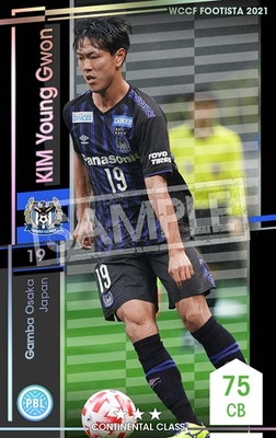 �ڥ�󥯥��å׺Ѥߡۡ�F21-2 048-R�ۥ��ࡦ��󥰥��� ��3 CC