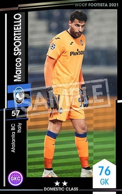 ��F21-3 018�ۥޥ륳�����ݥ�ƥ����å� ��2 DC