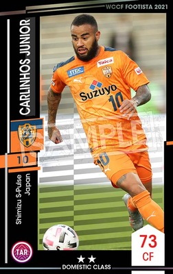 ��F21-3 076�ۥ���꡼�˥祹������˥� ��2 DC