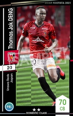 ��F21-3 080�ۥȡ��ޥ����ǥ� ��2 DC