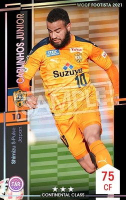 �ڥ�󥯥��å׺Ѥߡۡ�F21-3 076-R�ۥ���꡼�˥祹������˥� ��3 CC