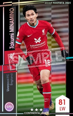 ��F21-4 005�ۥ����ߡ��ߥʥߥ� ��3 CC