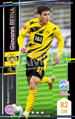 ��F21-4 013�ۥ���Х�ˡ��쥤�� ��3 CC�ڥ֥쥤�����롼��