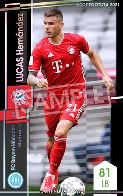 ��F21-4 016�ۥ륫������ʥ�ǥ� ��3 CC