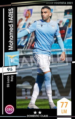 ��F21-4 028�ۥ�ϥ�ɡ��ե��쥹 ��2 DC