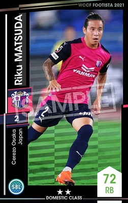 ��F21-4 041�ۥꥯ���ޥĥ� ��2 DC