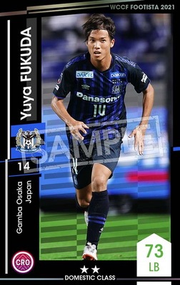 ��F21-4 047�ۥ楦�䡦�ե��� ��2 DC