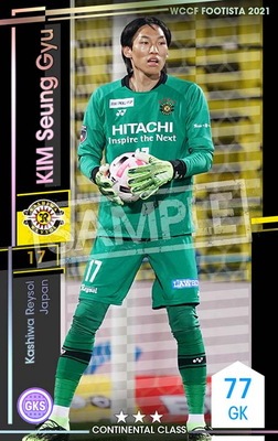 ��F21-4 056�ۥ��ࡦ���󥮥� ��3 CC