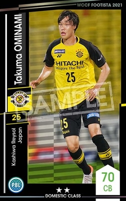 ��F21-4 057�ۥ����ޡ������ߥʥ� ��2 DC