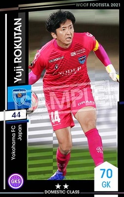 ��F21-4 089�ۥ楦������������ ��2 DC