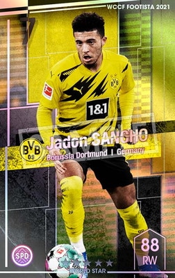 ��F21-5 014�ۥ������ɥ󡦥������ ��5 WS