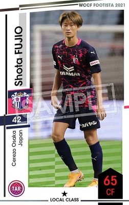 ��F21-5 043�ۥ��祦�����ե��� ��1 LC