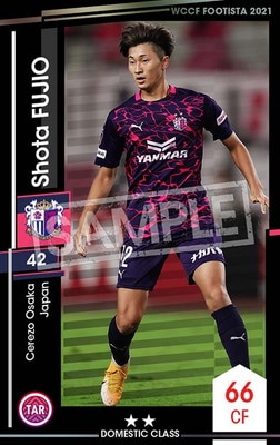 �ڥ�󥯥��å׺Ѥߡۡ�F21-5 043-R�ۥ��祦�����ե��� ��2 DC