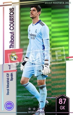 ��F21-6 034�ۥƥ��ܡ�������ȥ� ��4 WC