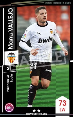 F21-6 038ۥޥ̡Х 2 DC