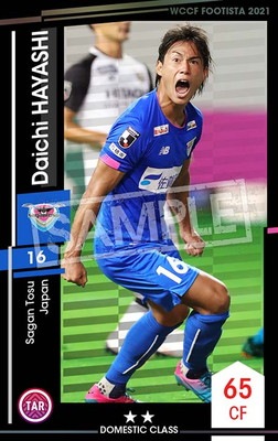 �ڥ�󥯥��å׺Ѥߡۡ�F21-6 080-R�ۥ��������ϥ䥷 ��2 DC