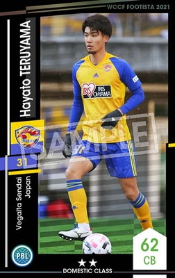 �ڥ�󥯥��å׺Ѥߡۡ�F21-6 100-R�ۥϥ�ȡ��ƥ��� ��2 DC